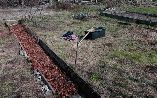 Arbeiten im Vorfrühling